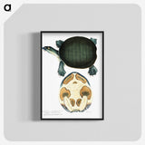 1-95_Indian-Zoology_blk-crop