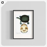 1-95_Indian-Zoology_blk