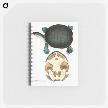 1-95_Indian-Zoology_memo