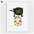 1-95_Indian-Zoology_picture