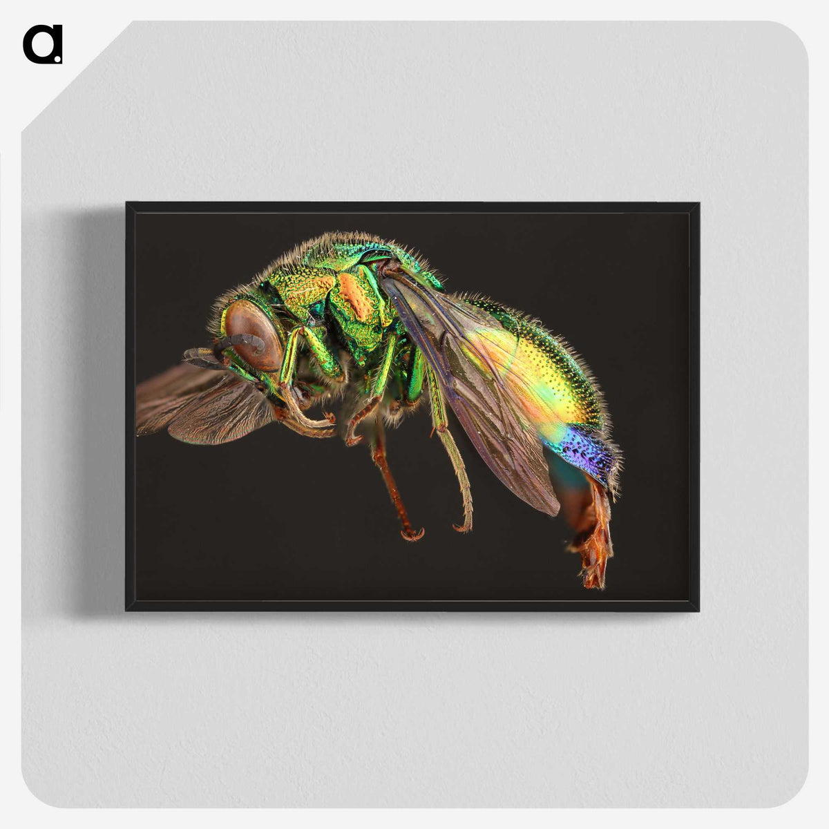 1-95_Insects-Unlocked-Project_blk-crop