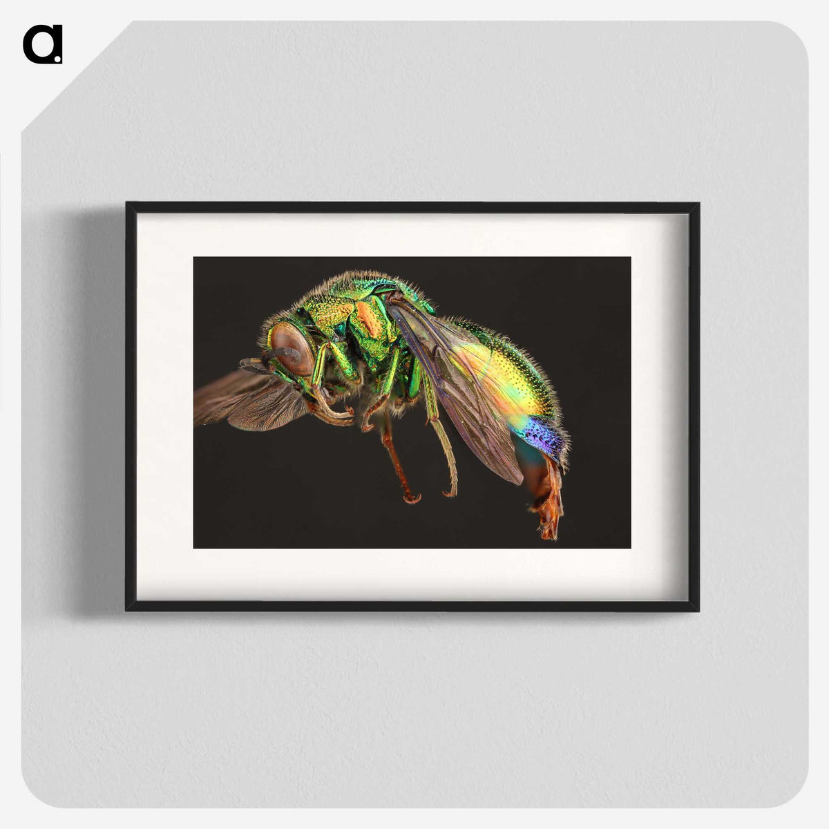 1-95_Insects-Unlocked-Project_blk
