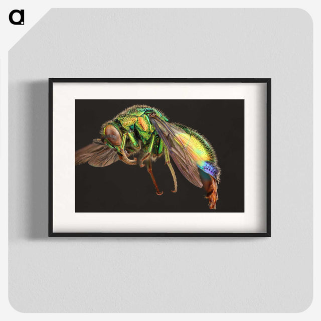 1-95_Insects-Unlocked-Project_blk