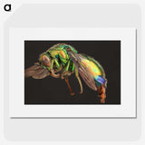 1-95_Insects-Unlocked-Project_picture