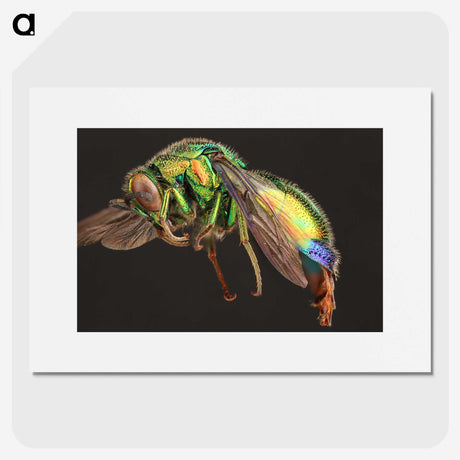 1-95_Insects-Unlocked-Project_picture