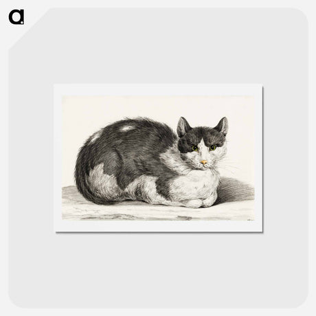 アートポストカード-Reclining cat - ジャン ベルナール Postcard.