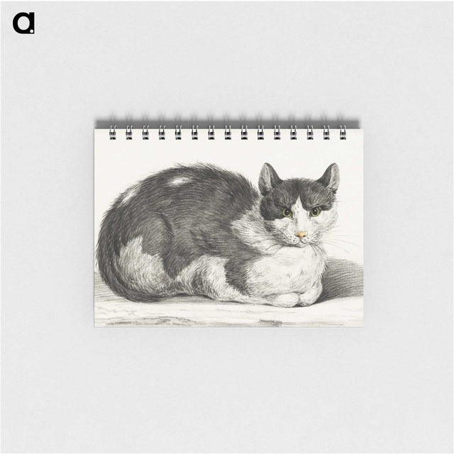 1-95_Jean-Bernard_memo