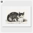 1-95_Jean-Bernard_picture