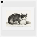 1-95_Jean-Bernard_picture