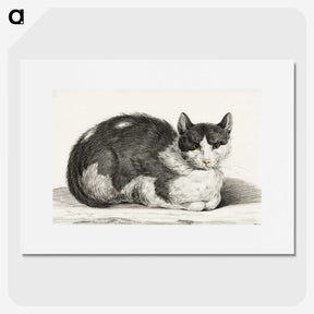 1-95_Jean-Bernard_picture