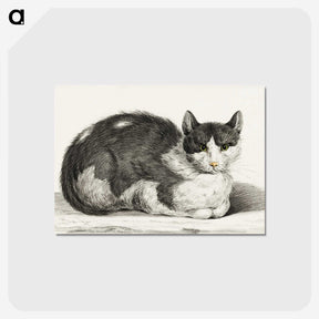 1-95_Jean-Bernard_postcard