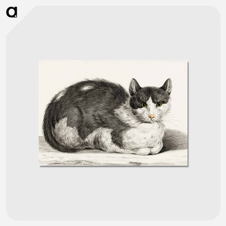 アートポストカード-Reclining cat - ジャン ベルナール Postcard.