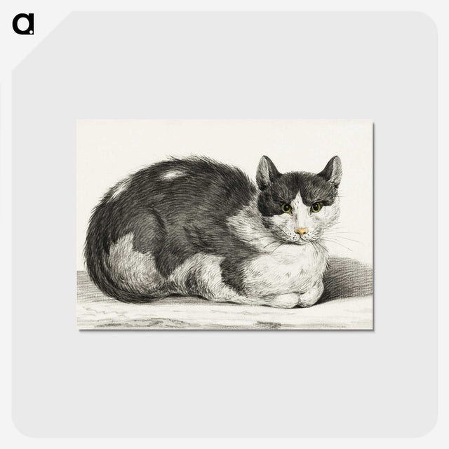 1-95_Jean-Bernard_postcard