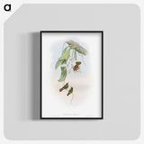 1-95_John-Gould_blk-crop