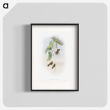 1-95_John-Gould_blk