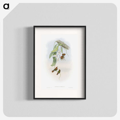 1-95_John-Gould_blk