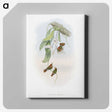 1-95_John-Gould_canvas