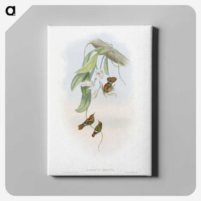 1-95_John-Gould_canvas