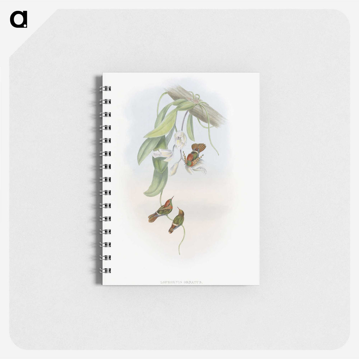 1-95_John-Gould_memo