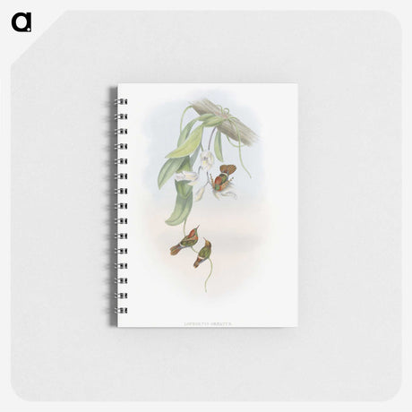 1-95_John-Gould_memo