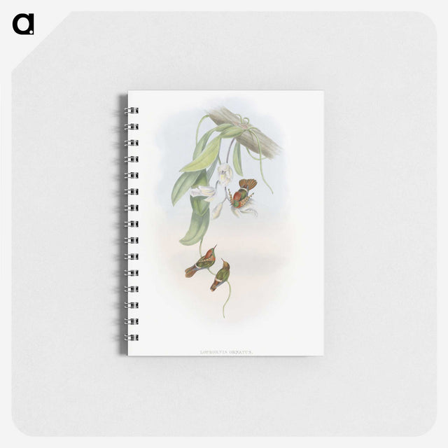 1-95_John-Gould_memo