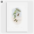 1-95_John-Gould_picture