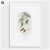 1-95_John-Gould_picture