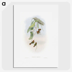 1-95_John-Gould_picture