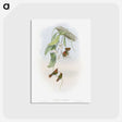 1-95_John-Gould_postcard