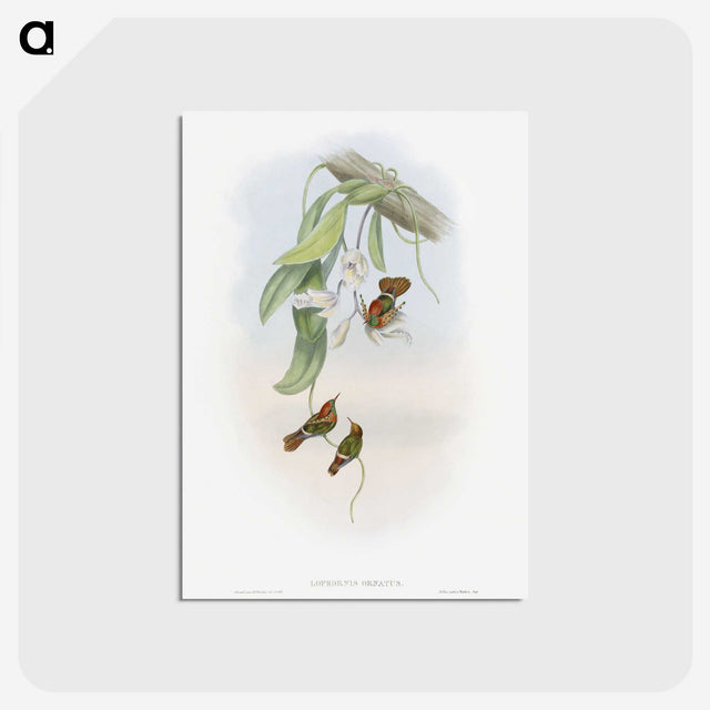 1-95_John-Gould_postcard