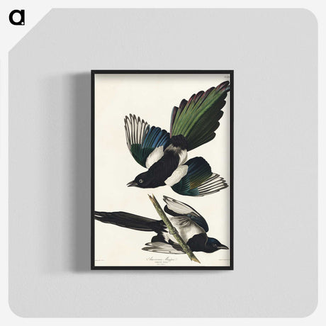 1-95_John-James-Audubon_blk-crop