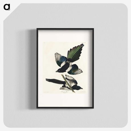 1-95_John-James-Audubon_blk