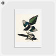 アートポストカード-American Magpie
 - ジョン ジェームス オーデュボン Postcard.