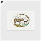 1-95_Joris-Hoefnagel_hagaki