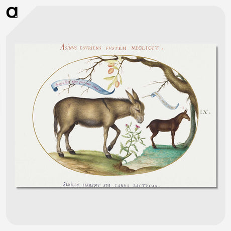 1-95_Joris-Hoefnagel_picture-crop