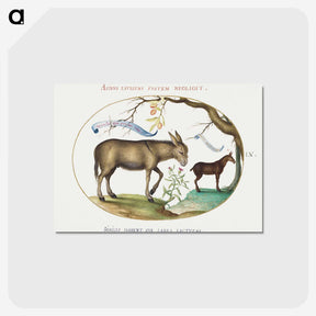 1-95_Joris-Hoefnagel_postcard