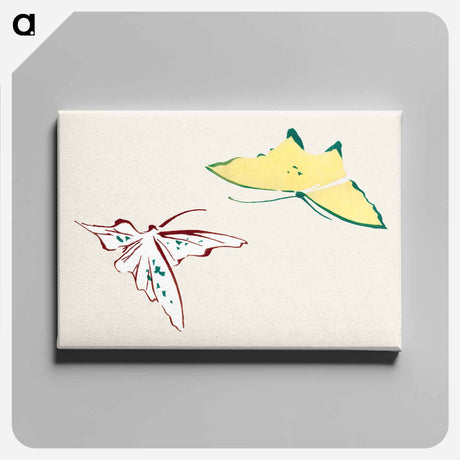 アートパネル-Abstract butterfly - 神坂 雪佳 Canvas.
