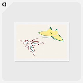 アートポストカード-Abstract butterfly - 神坂 雪佳 Postcard.