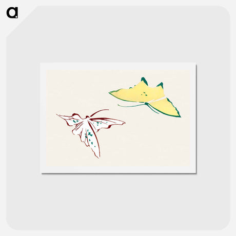 アートポストカード-Abstract butterfly - 神坂 雪佳 Postcard.