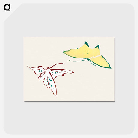 アートポストカード-Abstract butterfly - 神坂 雪佳 Postcard.