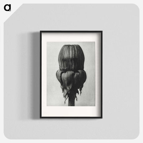 1-95_Karl-Blossfeldt_blk
