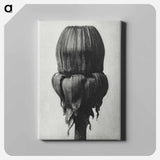 Taraxacum Officinale (Common Dandelion) - カール ブロスフェルト Canvas.