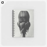 1-95_Karl-Blossfeldt_memo