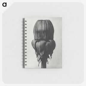 1-95_Karl-Blossfeldt_memo