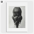 1-95_Karl-Blossfeldt_picture