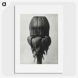 1-95_Karl-Blossfeldt_picture