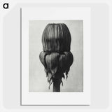 Taraxacum Officinale (Common Dandelion) - カール ブロスフェルト Poster.