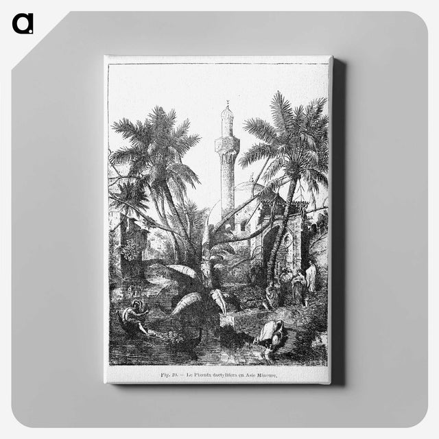 1-95_Les-Palmiers-Histoire-Iconographique_canvas