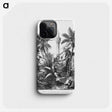 1-95_Les-Palmiers-Histoire-Iconographique_phone