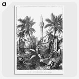 1-95_Les-Palmiers-Histoire-Iconographique_picture-crop
